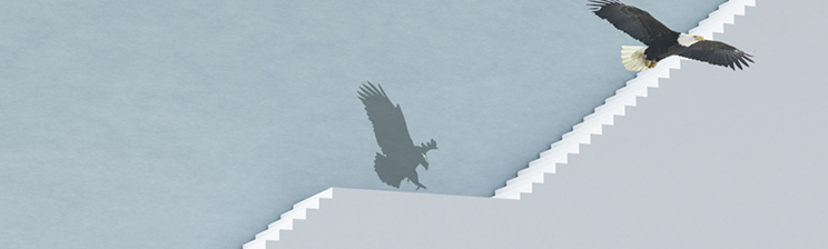 w66.利来(中国区)_来利国际旗舰厅